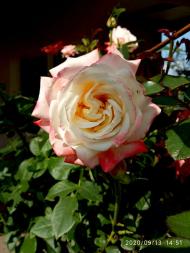 природні фантазії