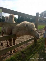 Зоопарк Лімпопо