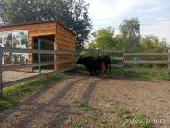 Зоопарк Лімпопо