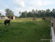 Зоопарк Лімпопо