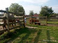 Зоопарк Лімпопо