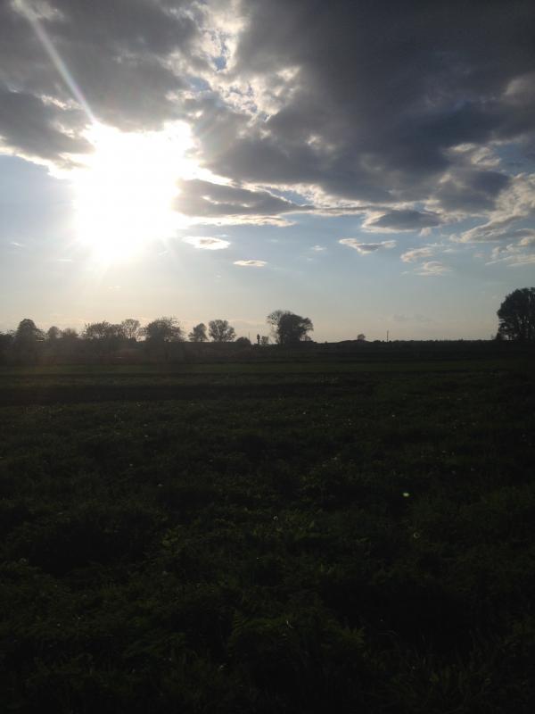 Наші фото - Бобли