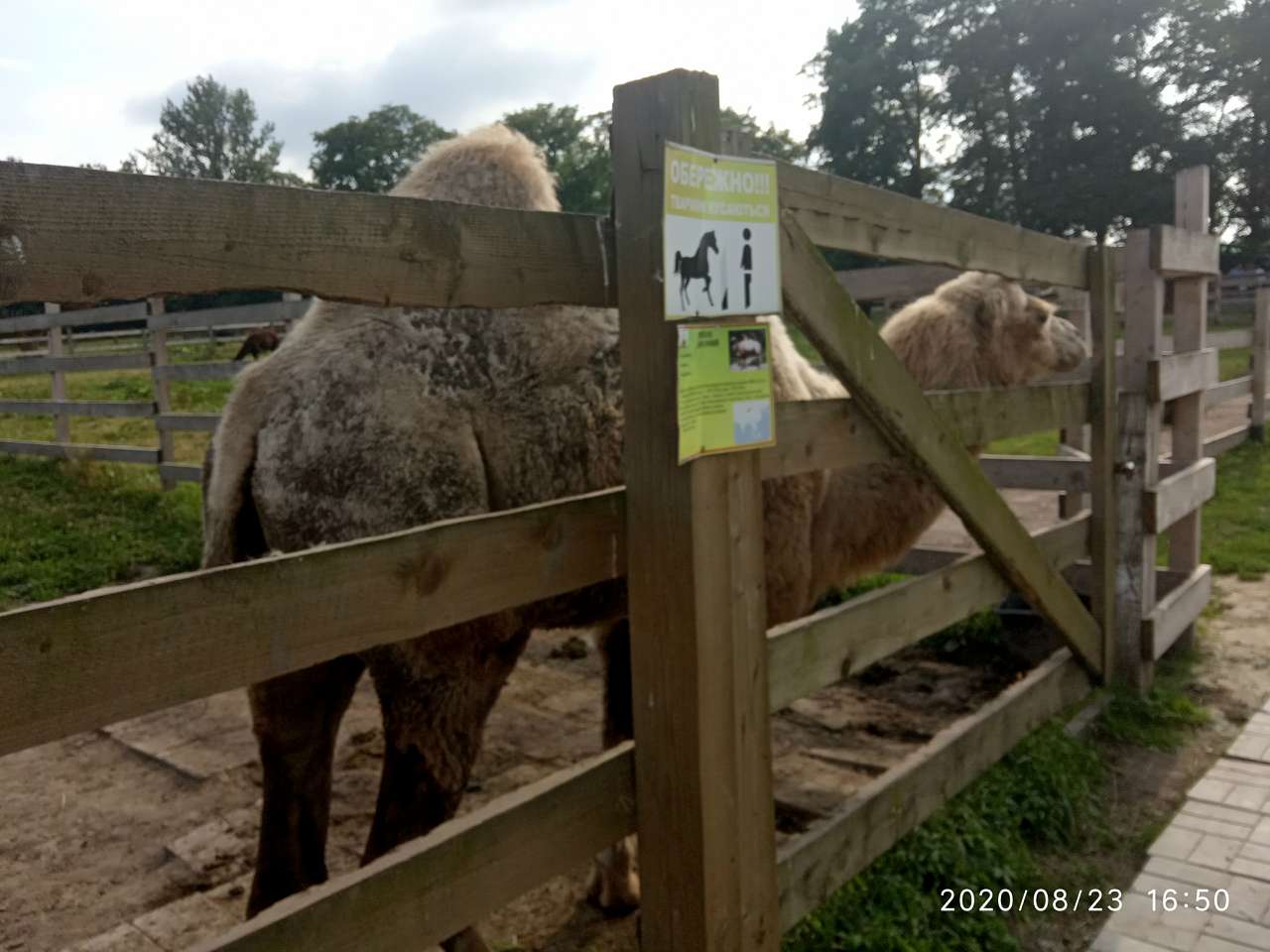 Зоопарк Лімпопо - Меденичі