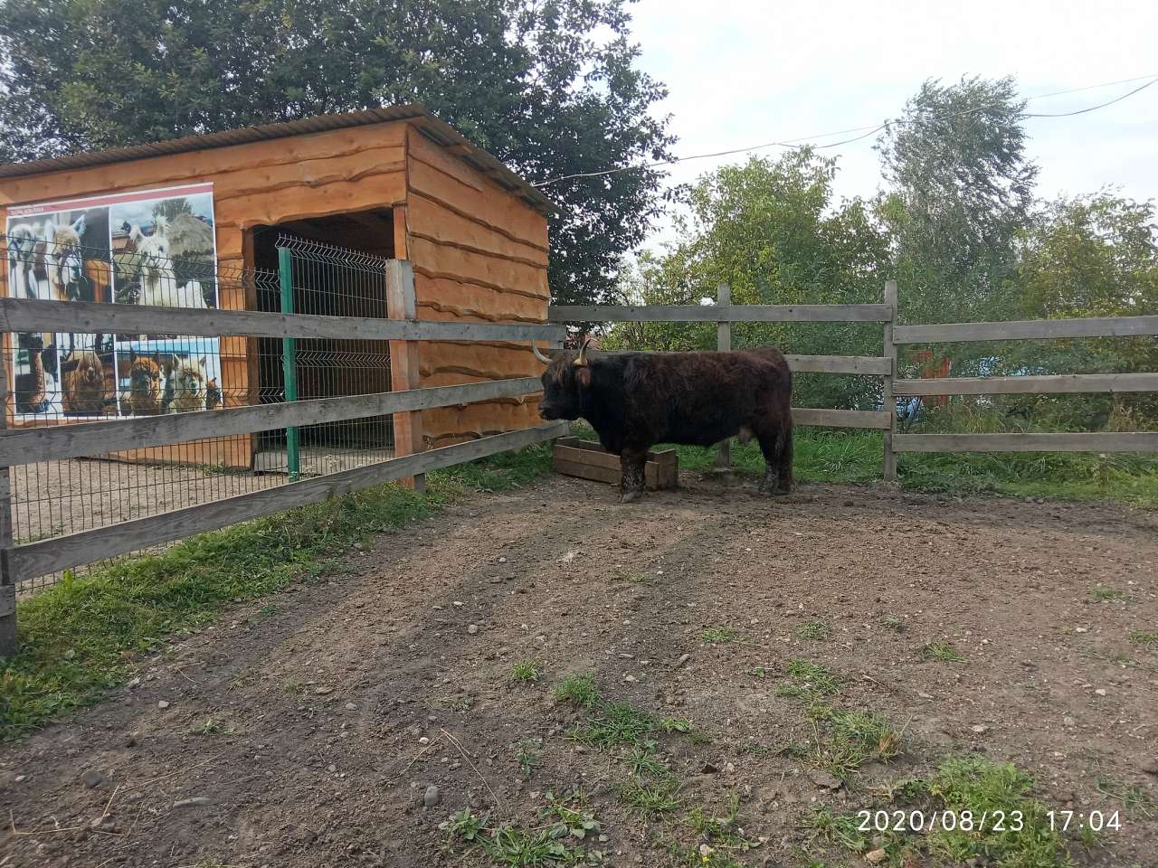 Зоопарк Лімпопо - Меденичі