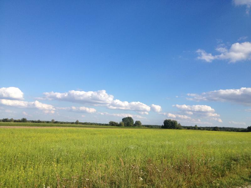 Наші фото - Бобли