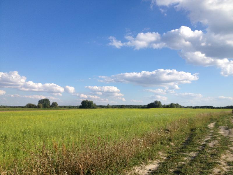 Наші фото - Бобли