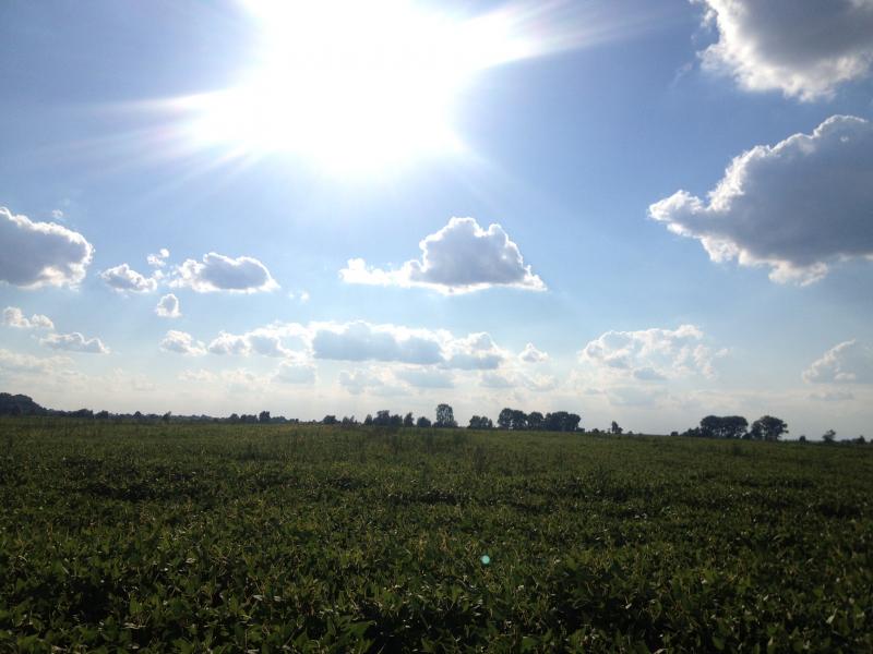 Наші фото - Бобли