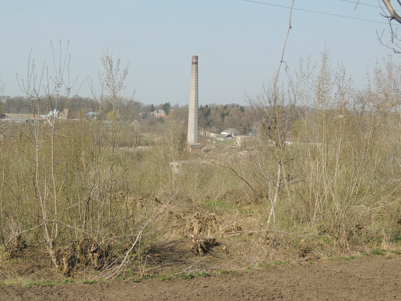 Скоморошки 2018 - Скоморошки