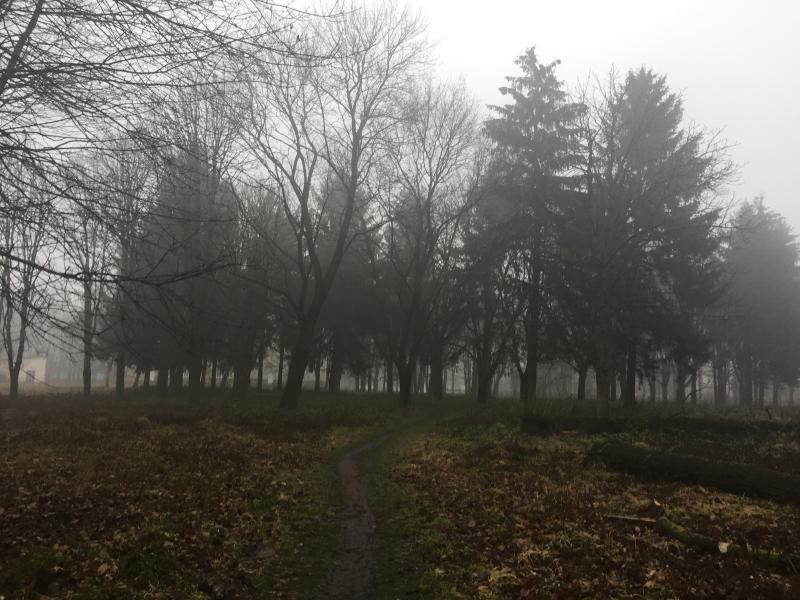 Наші фото - Бобли