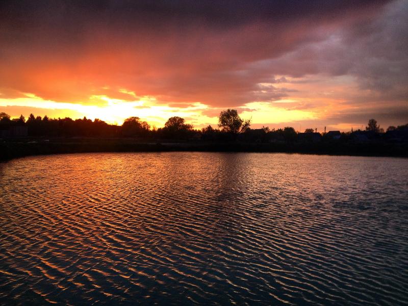 Наші фото - Бобли