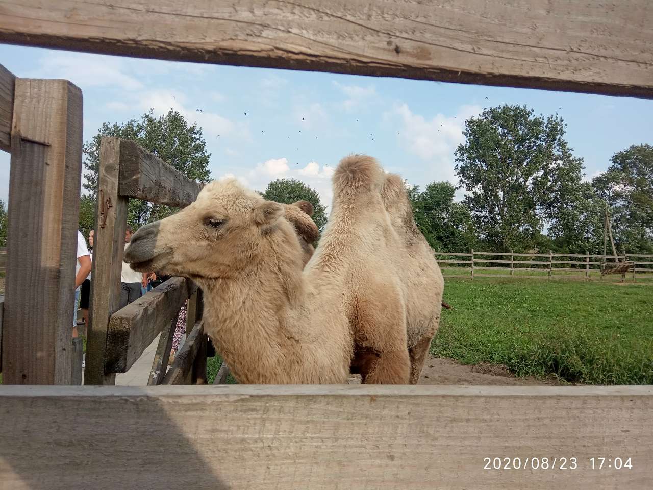 Зоопарк Лімпопо - Меденичі