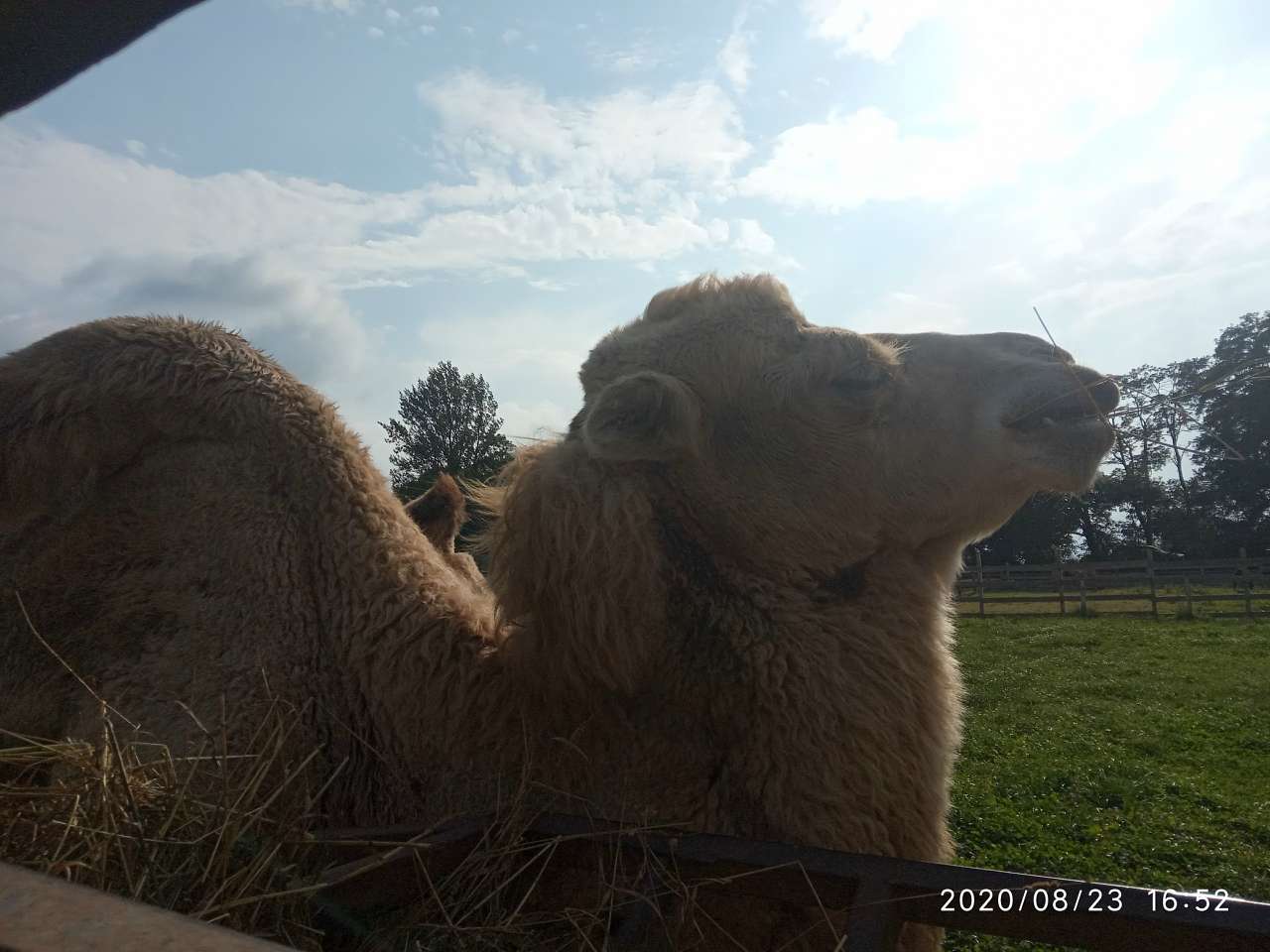 Зоопарк Лімпопо - Меденичі