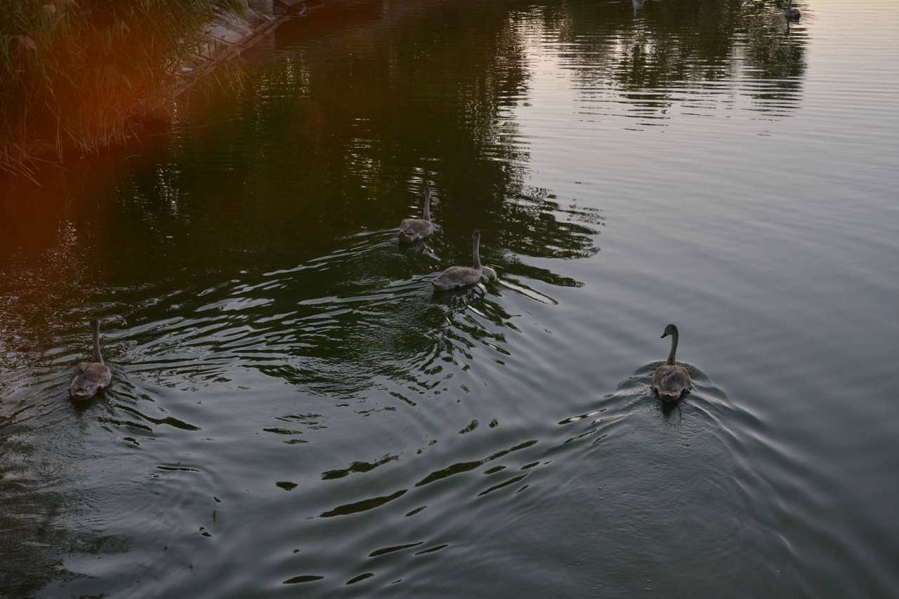Життя  села - Матусів