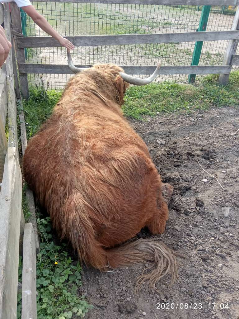 Зоопарк Лімпопо - Меденичі