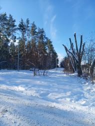 БІЛЯ ШЛЯХУ У ЄВРОПУ