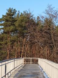 Пологовий будинок 'ADONIS'