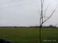 Стадіон та спортивний майданчик