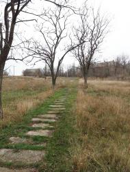 Новокиївка