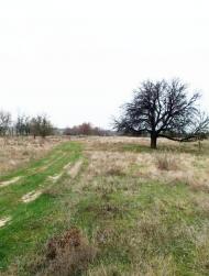 Новокиївка