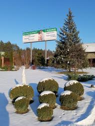 Пологовий будинок 'ADONIS'