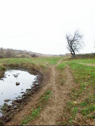 Новокиївка