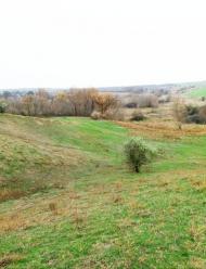 Новокиївка