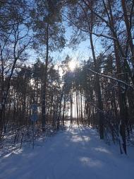 БІЛЯ ШЛЯХУ У ЄВРОПУ