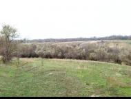 Новокиївка