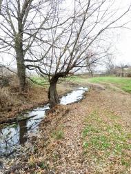 Новокиївка