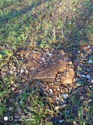 ЗИМА У НЕГРАШАХ