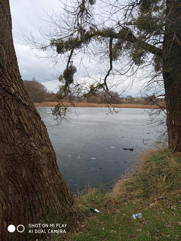 Неграшівський Неграш - Неграші