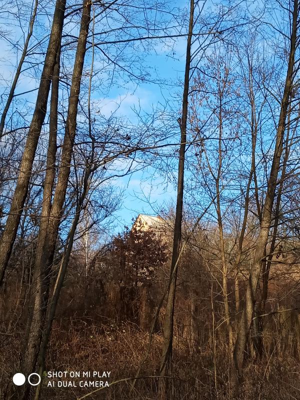 ЗИМА У НЕГРАШАХ - Неграши