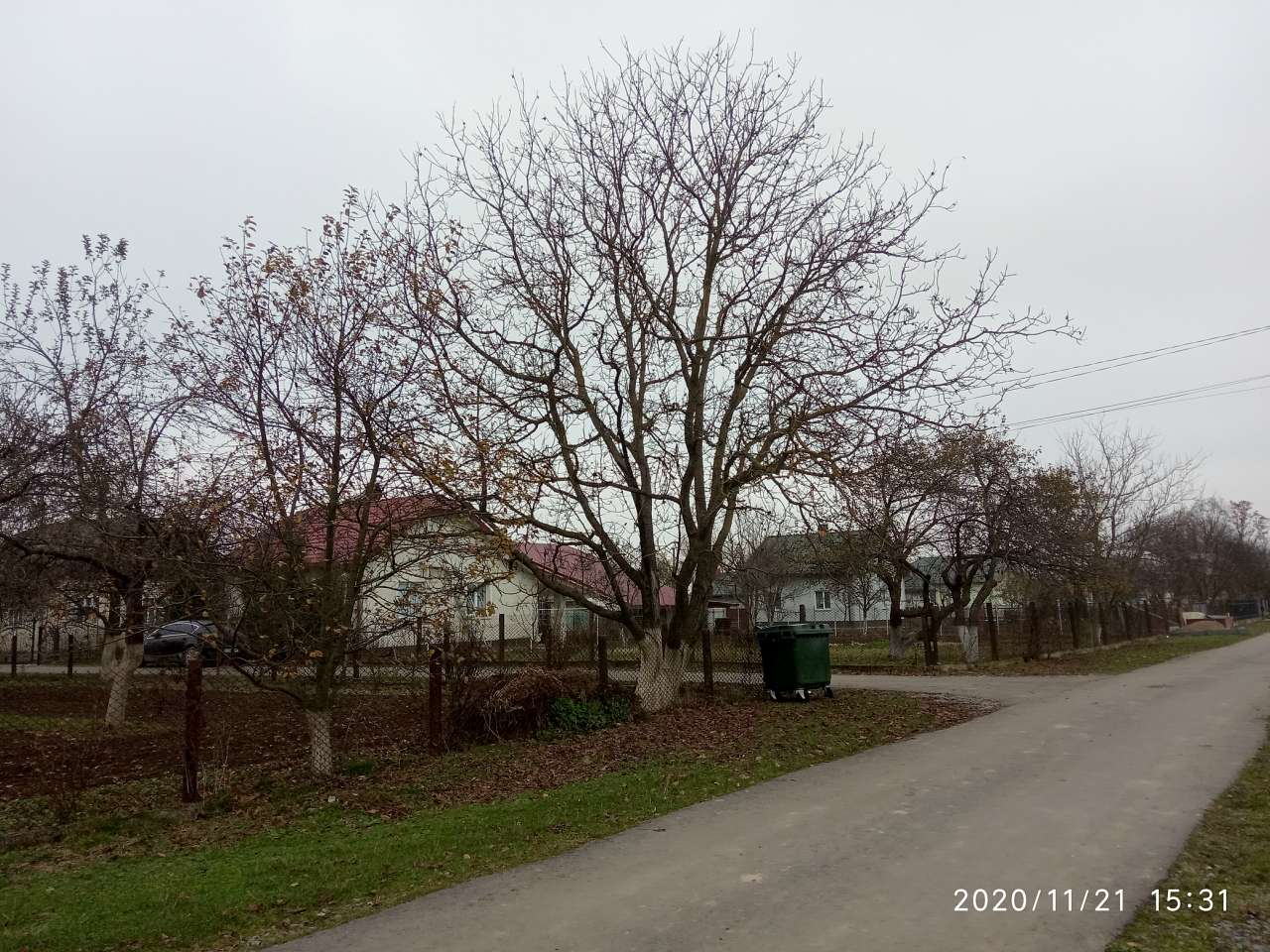 Краєвид - Вовня