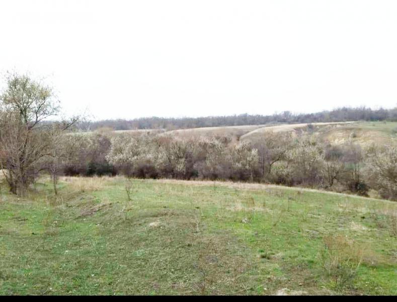 Новокиївка - Новокиївка