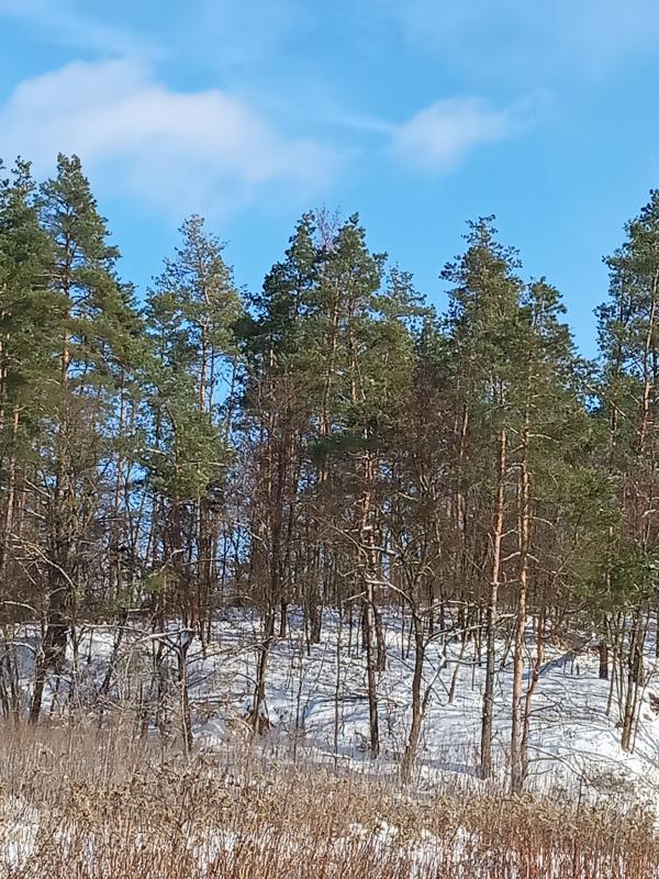 ЗИМА У НЕГРАШАХ - Negrashi