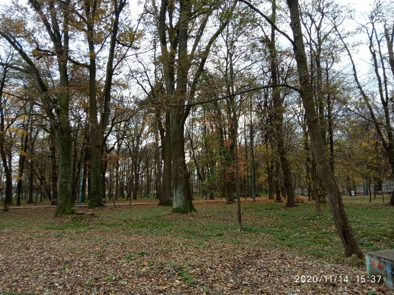 парки - Stryi
