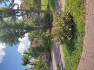 Вишневе - Останні фото