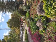 Головна вулиця