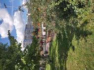 Вишневе - Останні фото