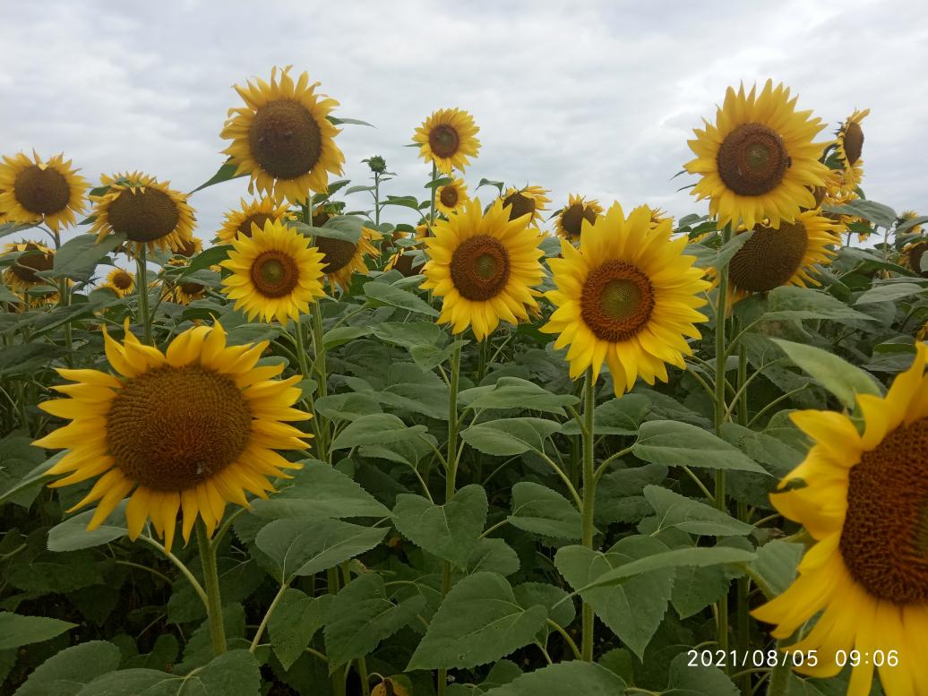 Краєвид - Колодниця