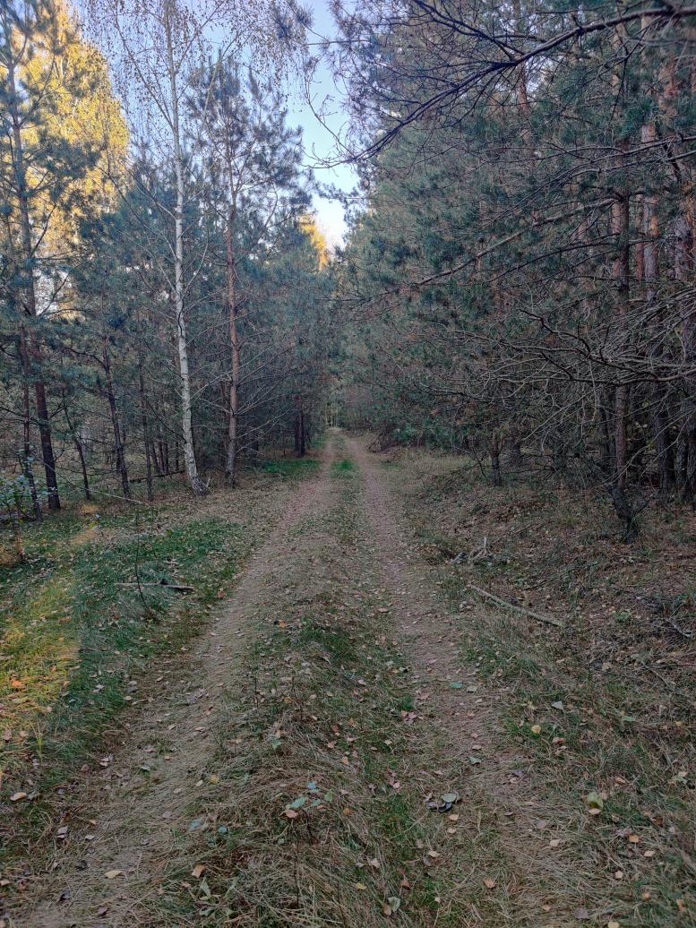 Жовтень у селі Жовтень - Lisovi Hutory