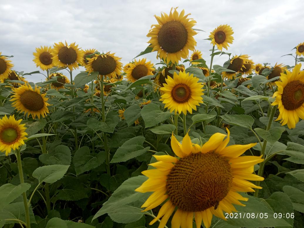 Краєвид - Колодниця