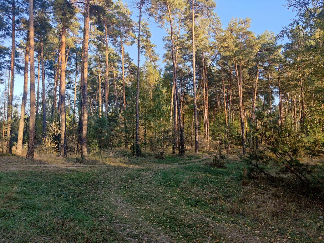 Жовтень у селі Жовтень - Лісові Хутори