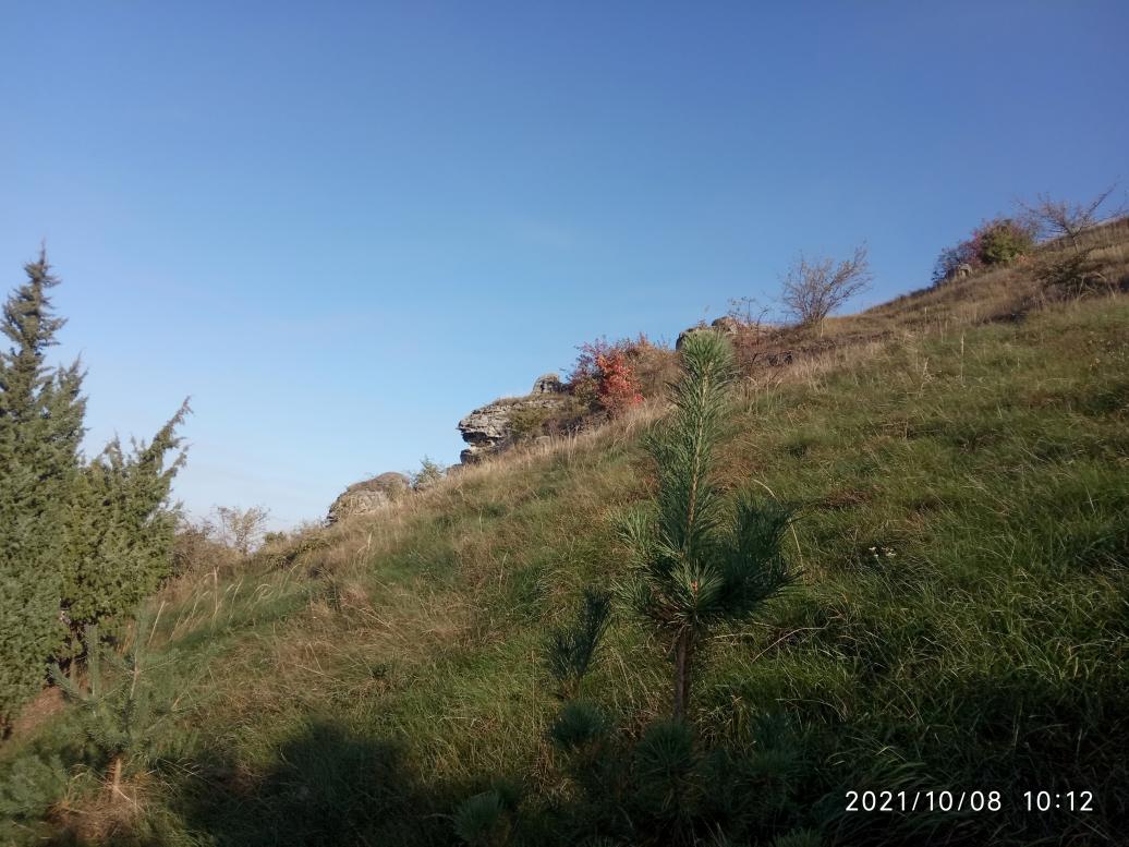 Краєвид - Миколаїв