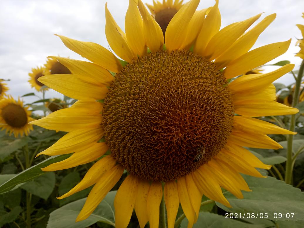 Краєвид - Колодниця