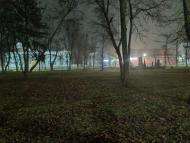 Природа Носівки