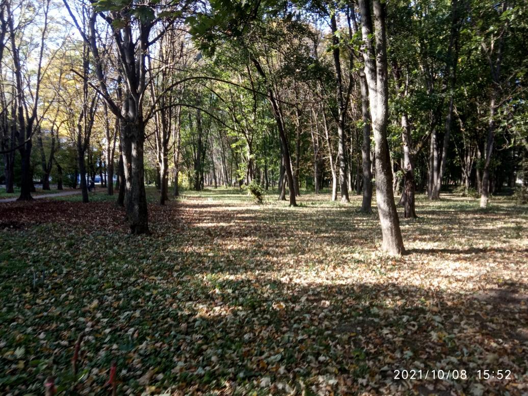 парки - Stryi