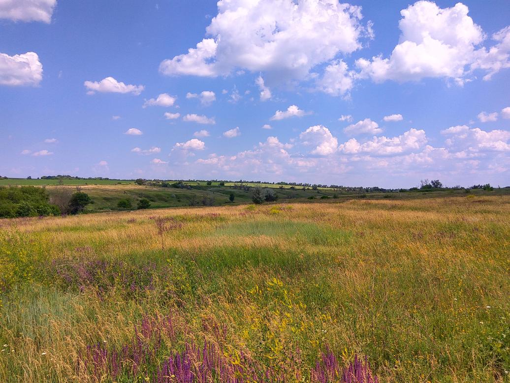 Наши фото - Рубці