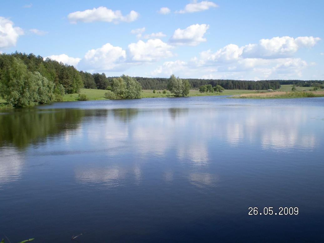 Наши фото - Бучки