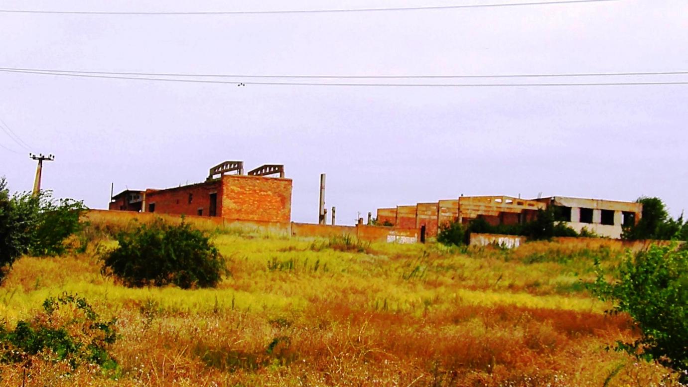 Вищетарасівка літо 2021 р. - Вищетарасівка